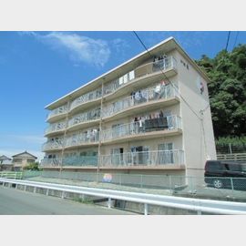 ドミ麗 1階 築31年8ヶ月の賃貸物件