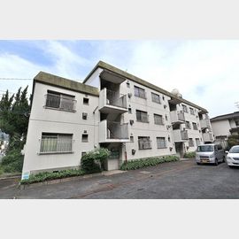 高安駅より徒歩7分 2階 築47年8ヶ月の賃貸物件