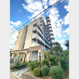 シャトーレーヌ 3階 築35年8ヶ月の賃貸物件