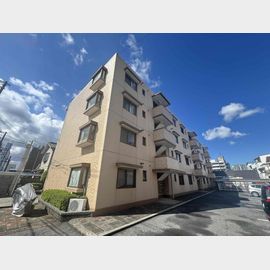 桐朋ハイツ 3階 築39年1ヶ月の賃貸物件