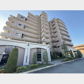 近鉄八尾駅より徒歩27分 10階 築20年の賃貸物件