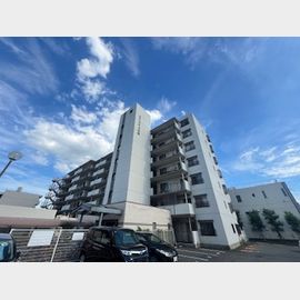 エクセル上小阪 2階 築36年9ヶ月の賃貸物件