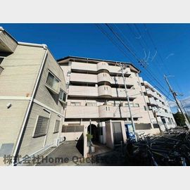 ベルジュネス 4階 築36年1ヶ月の賃貸物件