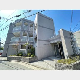 サウスフォート林 2階 築31年2ヶ月の賃貸物件