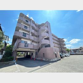 シャトーアルベール 1階 築31年9ヶ月の賃貸物件