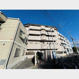 ベルジュネス 3階 築35年6ヶ月の賃貸物件