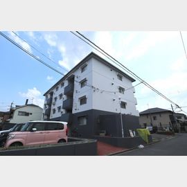 八尾駅より徒歩9分 1階 築44年の賃貸物件