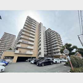 八戸ノ里駅より徒歩13分 11階 築42年1ヶ月の賃貸物件