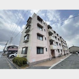 サンハイツ高安 1階 築40年8ヶ月の賃貸物件