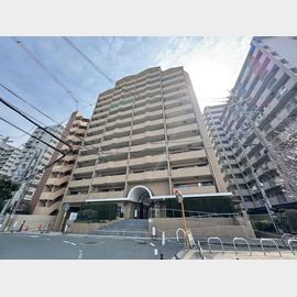 朝日プラザキャストラン東大阪 11階 築36年1ヶ月の賃貸物件