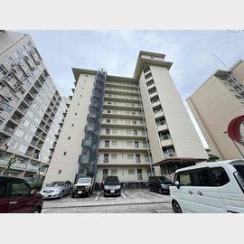 八戸ノ里駅より徒歩6分 10階 築52年4ヶ月の賃貸物件