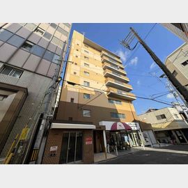 布施駅より徒歩5分 8階 築45年の賃貸物件