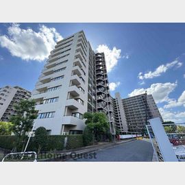 ファミリーハイツ八尾B棟 12階 築36年9ヶ月の賃貸物件