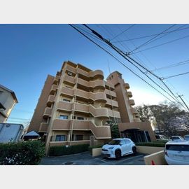 八尾駅より徒歩7分 1階 築34年5ヶ月の賃貸物件