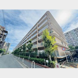 河内小阪駅より徒歩10分 3階 築44年1ヶ月の賃貸物件