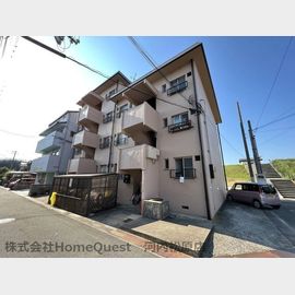 サンハイツＮ棟 3階 築51年9ヶ月の賃貸物件