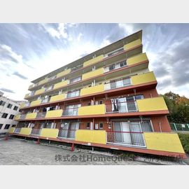 ライトコート 2階 築50年6ヶ月の賃貸物件