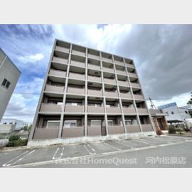 河内松原駅より徒歩25分 2階 築16年9ヶ月の賃貸物件