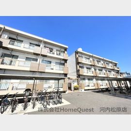 レミーハイツ 2階 築51年3ヶ月の賃貸物件