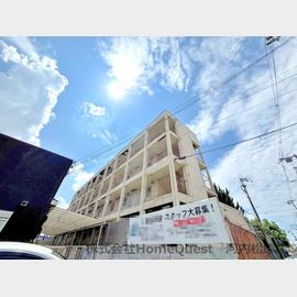 パインリーフ松原の賃貸物件