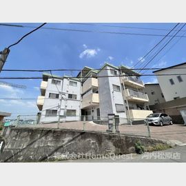 STEADY羽曳野の賃貸物件