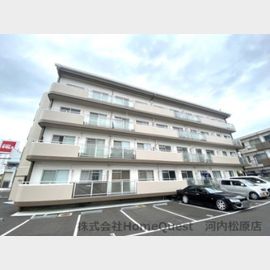 河内松原駅より徒歩5分 3階 築39年9ヶ月の賃貸物件