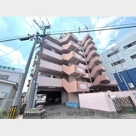 ルミエール藤井寺の賃貸物件