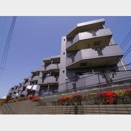 プリメーラ大泉学園の賃貸物件