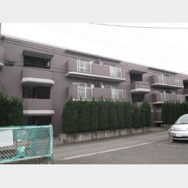 渋谷マンション 1階 築37年9ヶ月の賃貸物件