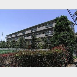 エントピアひばりが丘の賃貸物件