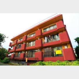 パレ・ソーカル 3階 築41年1ヶ月の賃貸物件