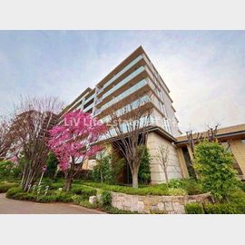 ひばりヶ丘駅より徒歩20分 9階 築8年3ヶ月の賃貸物件