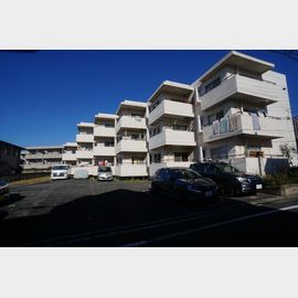 大泉学園駅よりバス10分 2階 築49年1ヶ月の賃貸物件