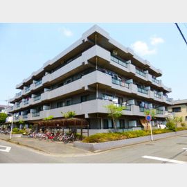 フローレンスMORITA 3階 築31年8ヶ月の賃貸物件