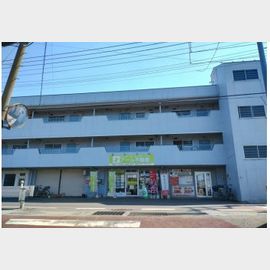 ひばりヶ丘駅より徒歩22分 3階 築48年の賃貸物件