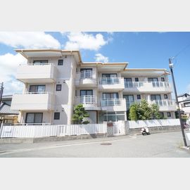 スチューデントルームバラード47の賃貸物件