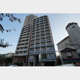 宝塚南口駅より徒歩7分 築17年1ヶ月 13階建の賃貸物件