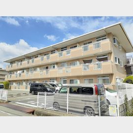 ディアコートミホ 2階 築33年の賃貸物件