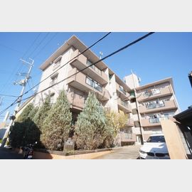 リバーコート 2階 築55年8ヶ月の賃貸物件