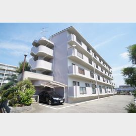 藤ノ木ハイツ 1階 築36年1ヶ月の賃貸物件