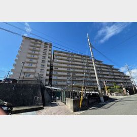 伊丹駅よりバス15分 築41年10ヶ月 13階建の賃貸物件