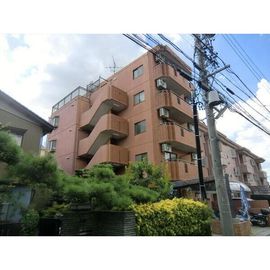 メゾン・ド・フランドル 3階 築36年1ヶ月の賃貸物件