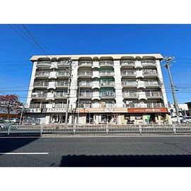 水野マンション 5階 築49年4ヶ月の賃貸物件