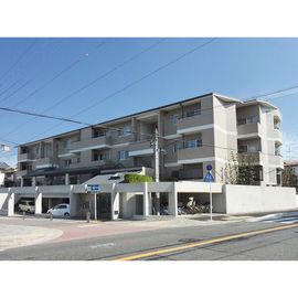 グランデ亀の井 1階 築35年4ヶ月の賃貸物件