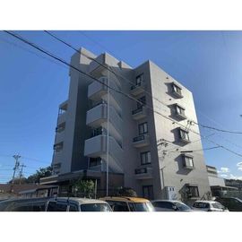 メゾン・ド・ラピュタ２の賃貸物件