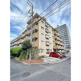 サンシャイン村瀬 5階 築43年8ヶ月の賃貸物件