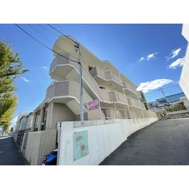 グレースコート黒石 3階 築34年10ヶ月の賃貸物件