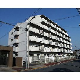 メゾン白菊 6階 築37年10ヶ月の賃貸物件