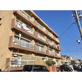 南荒子駅より徒歩13分 築52年5ヶ月 5階建の賃貸物件