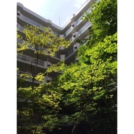 一社駅より徒歩3分 7階 築30年10ヶ月の賃貸物件